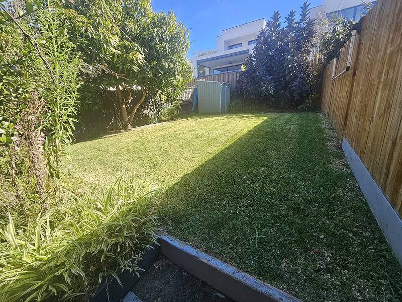 Maintained backyard lawn with clean garden bed edges